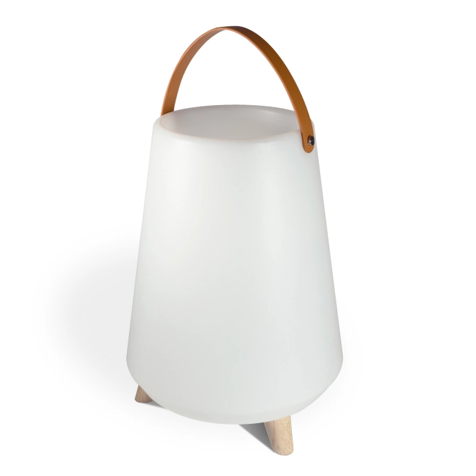 Haut-parleur Bluetooth et refroidisseur de vin LED 30x41cm