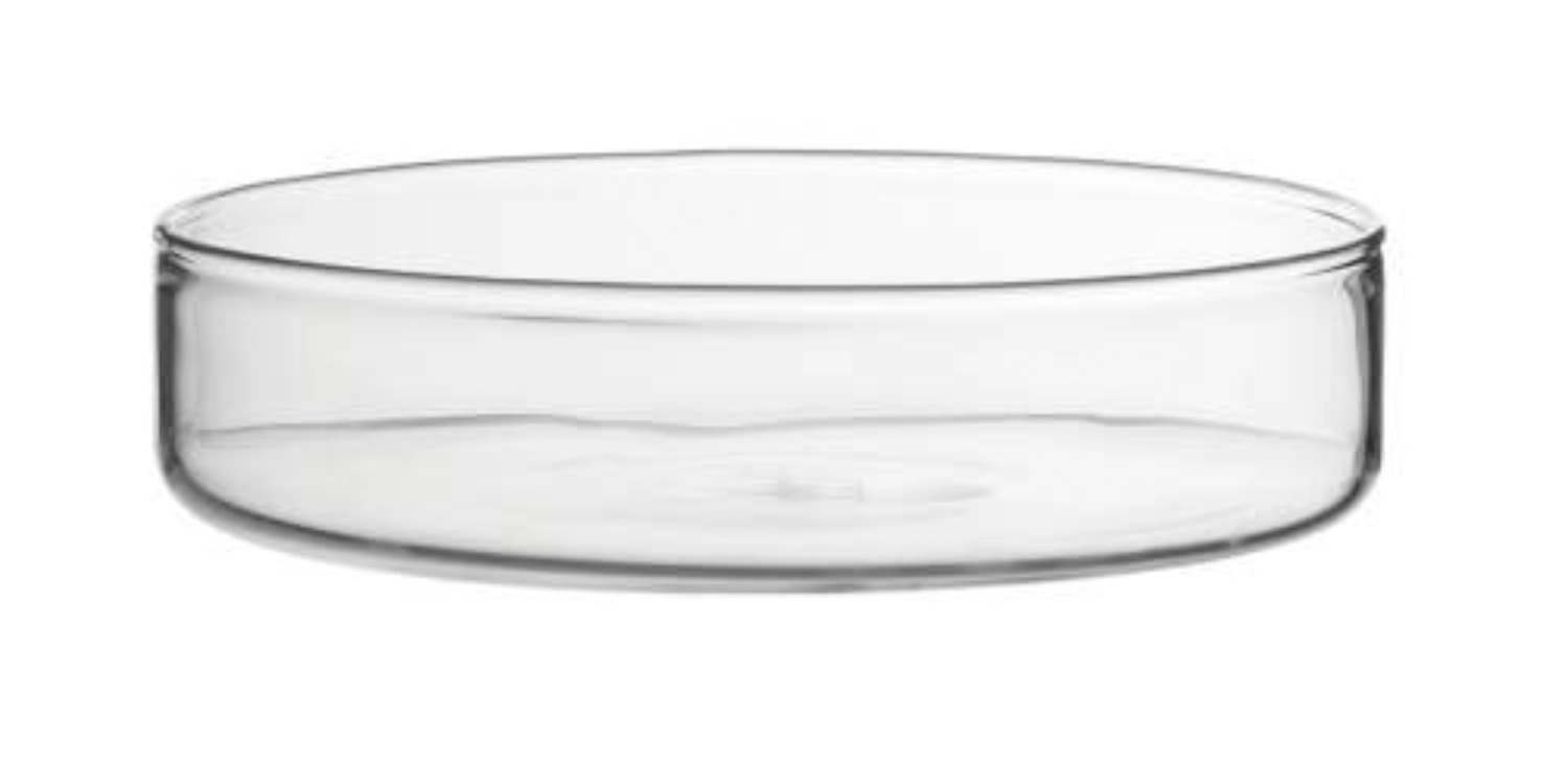 12er Set Glasschale, Borosilikatglas, D10.5cm, H2.5cm, 0.18L