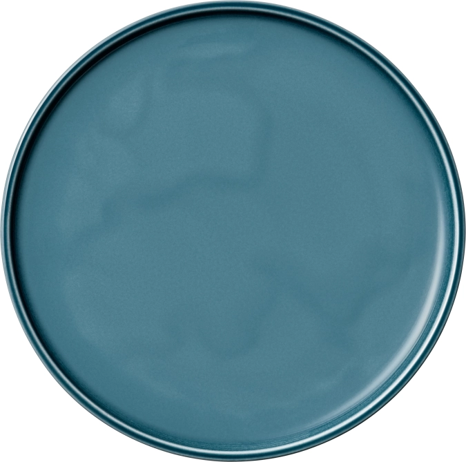 Companion Assiette plate ronde coupe pétrole 26cm