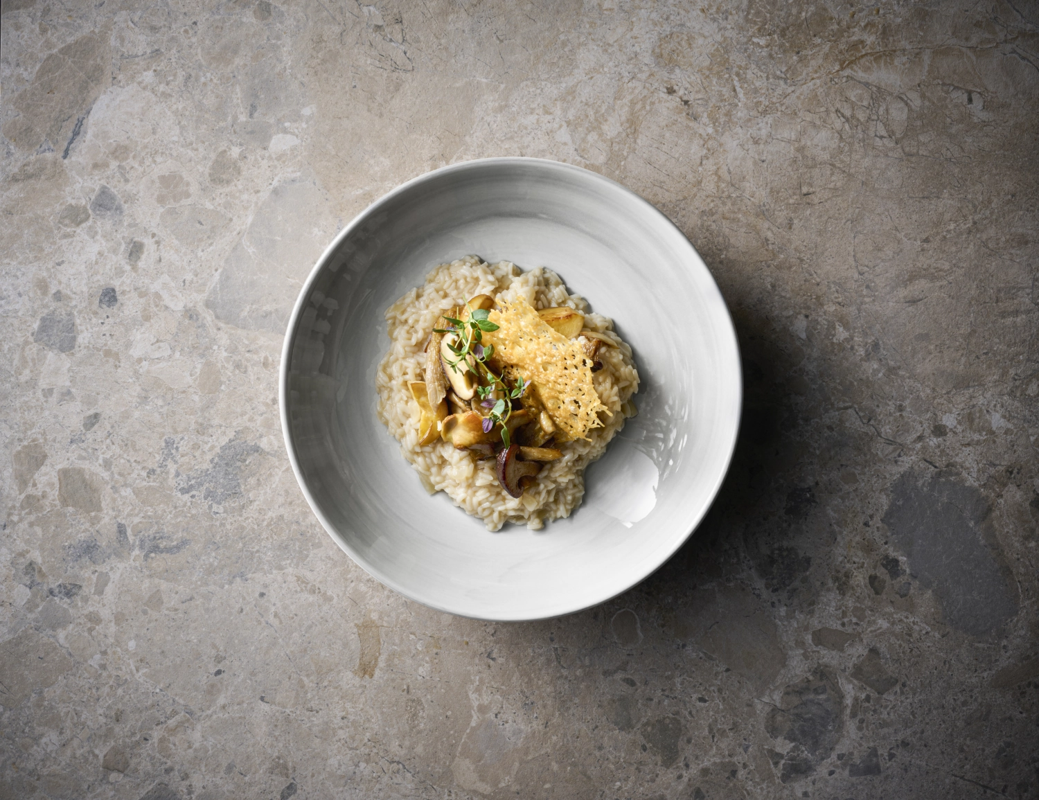 Stonecast Canvas Grey Coupe Assiette plate