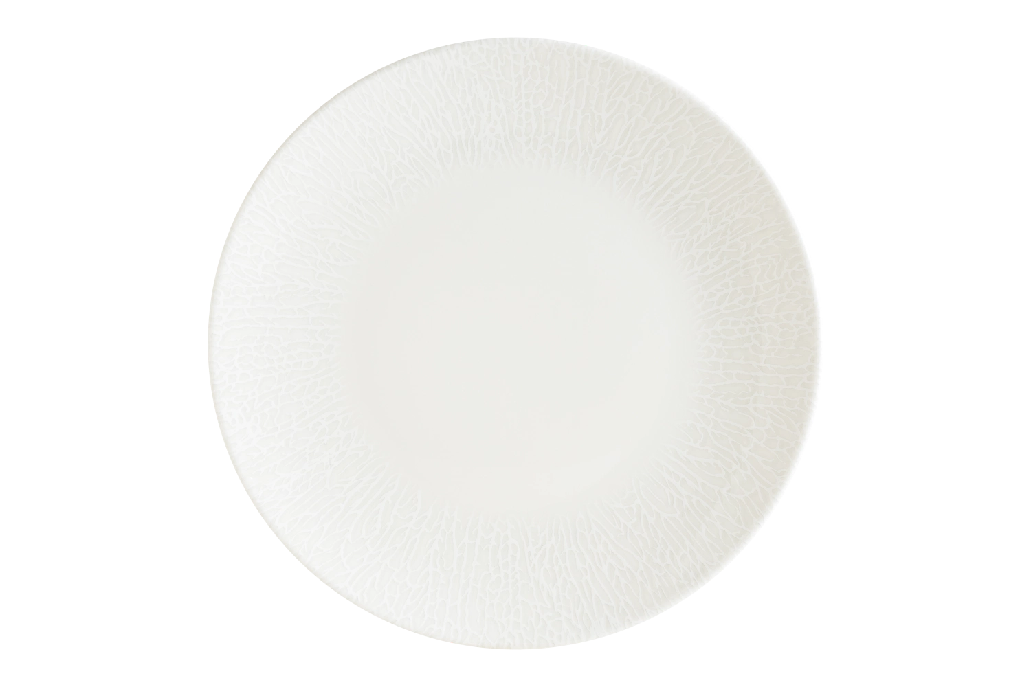 Radix Gourmet Assiette plate D15cm
