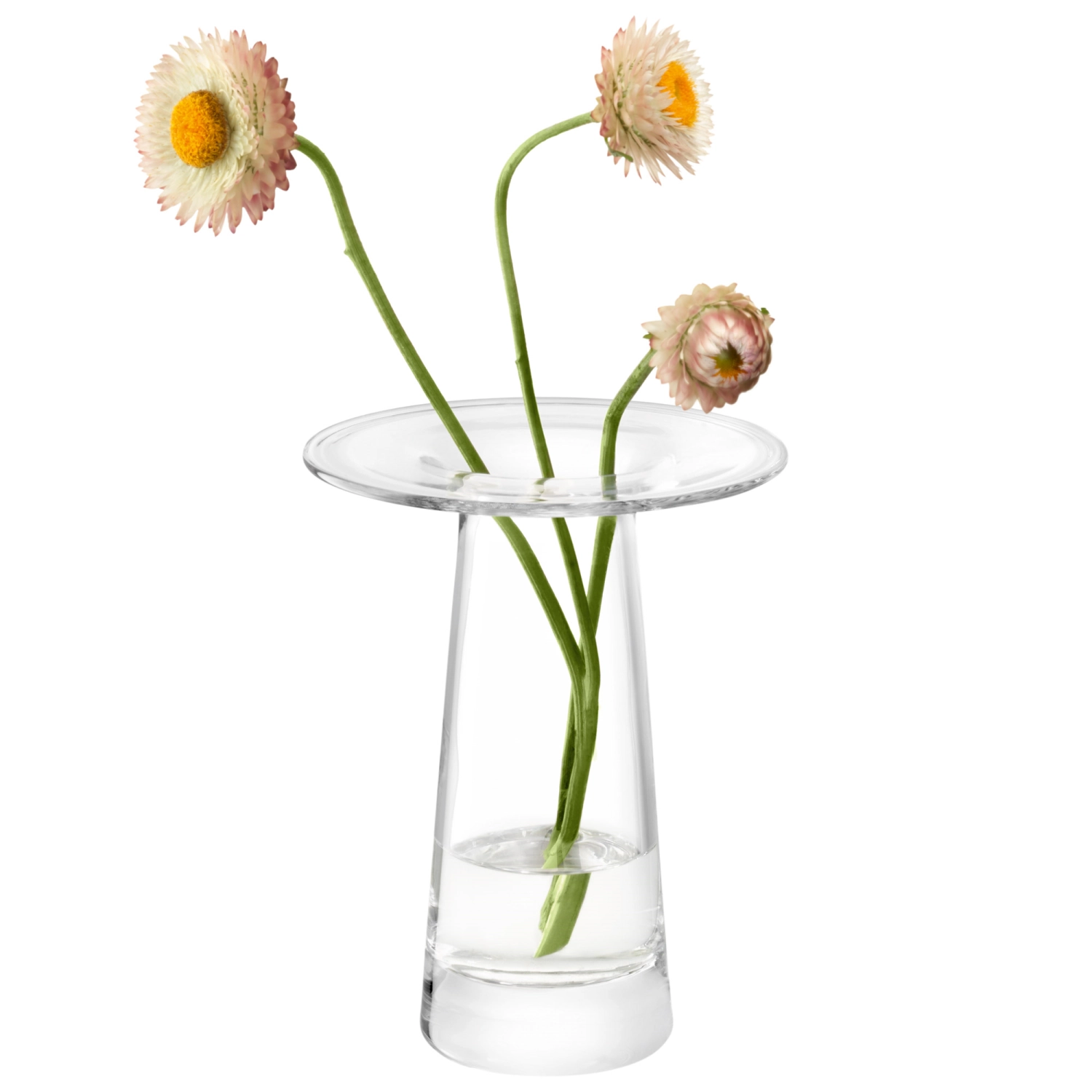 Victoria vase H15cm transparent