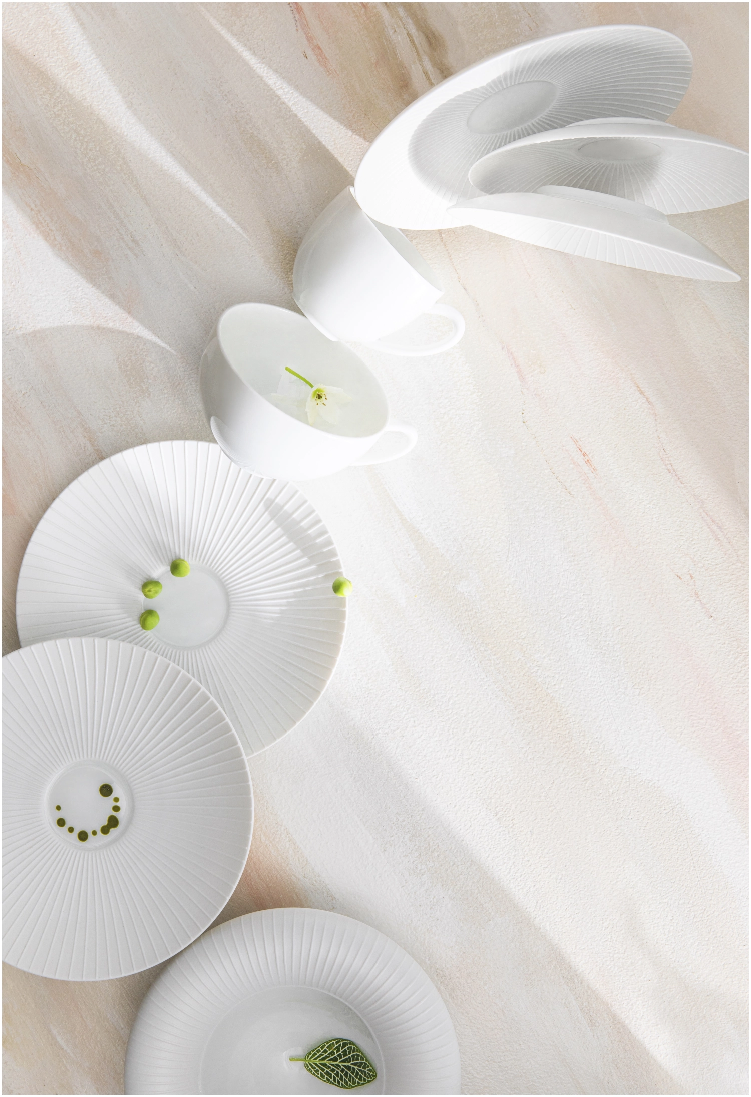 Bolero Tee Untertasse