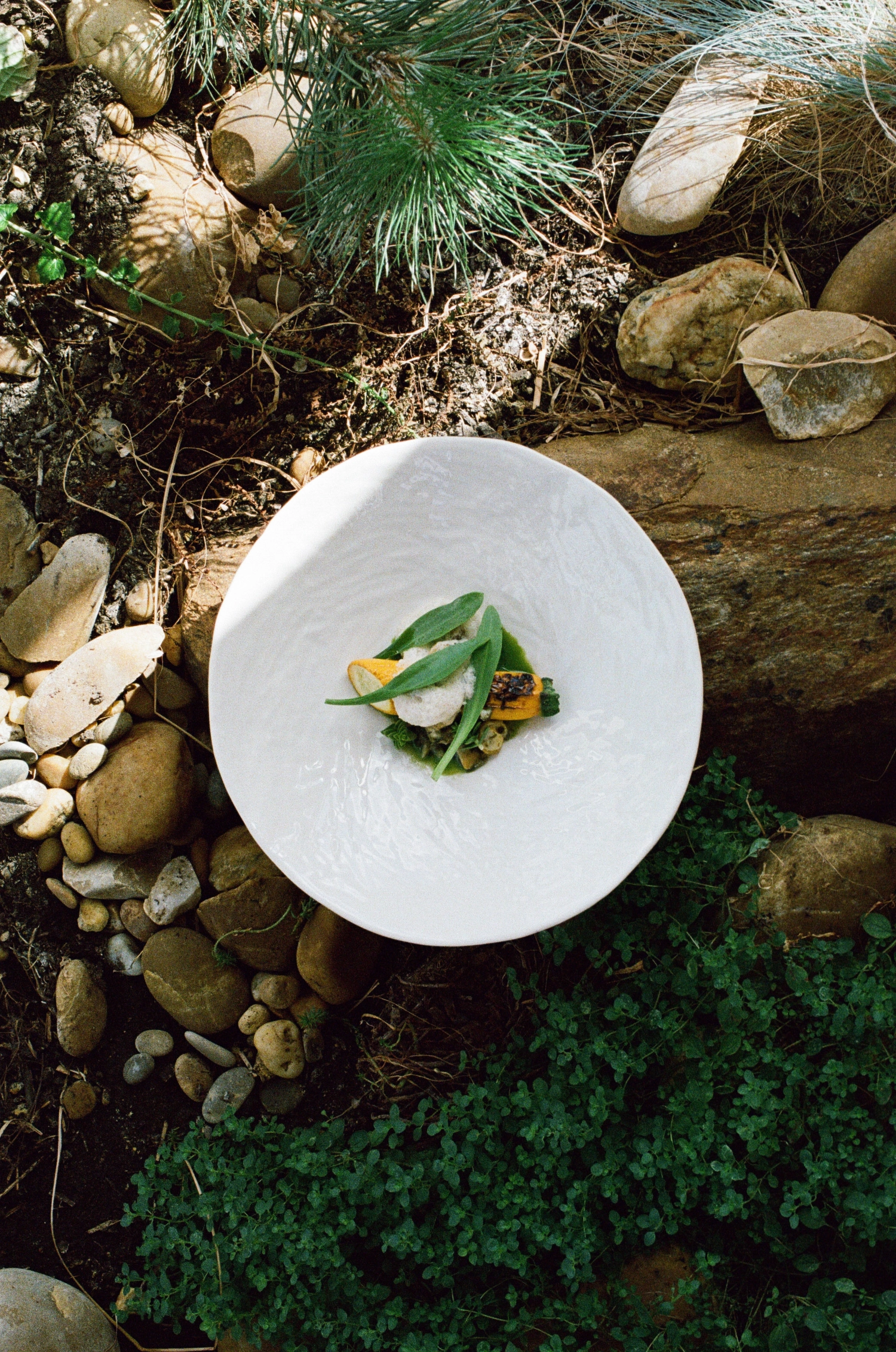 YLI ASSIETTE COUPE 27CM