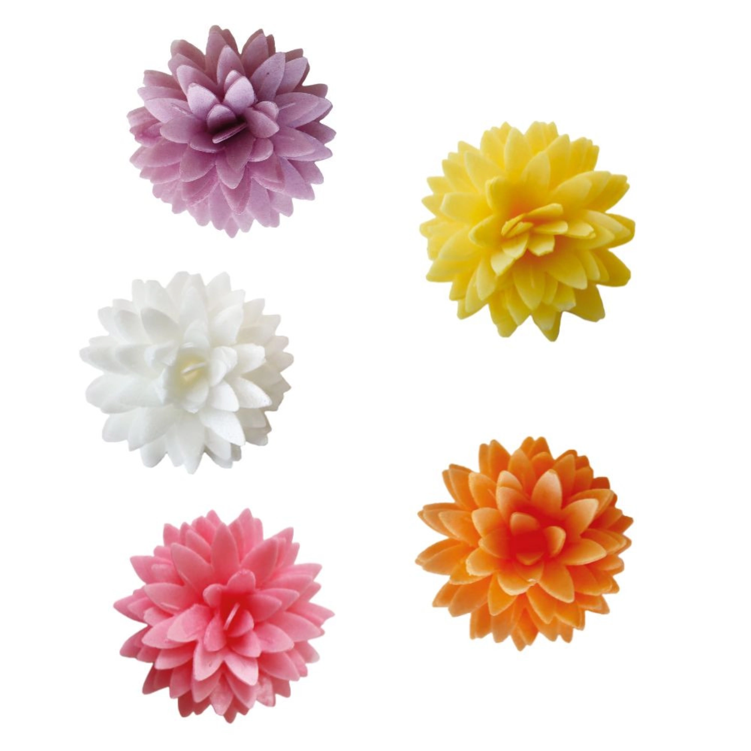 Set de 5 dahlias en papier comestible