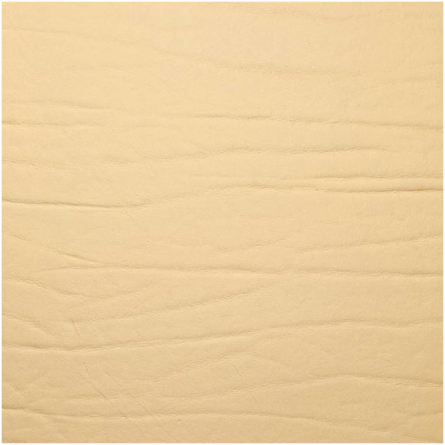 Dumbo Dessous de verre