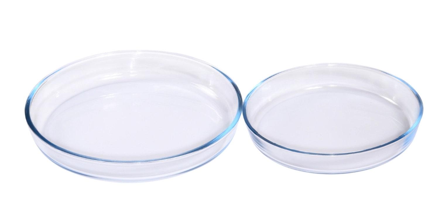 Lot de 2 plats à gratin ronds