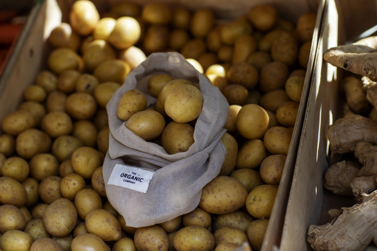 Food bac set de 3 sacs