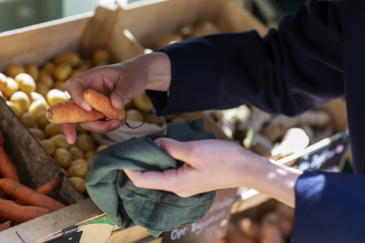 Food bac set de 3 sacs