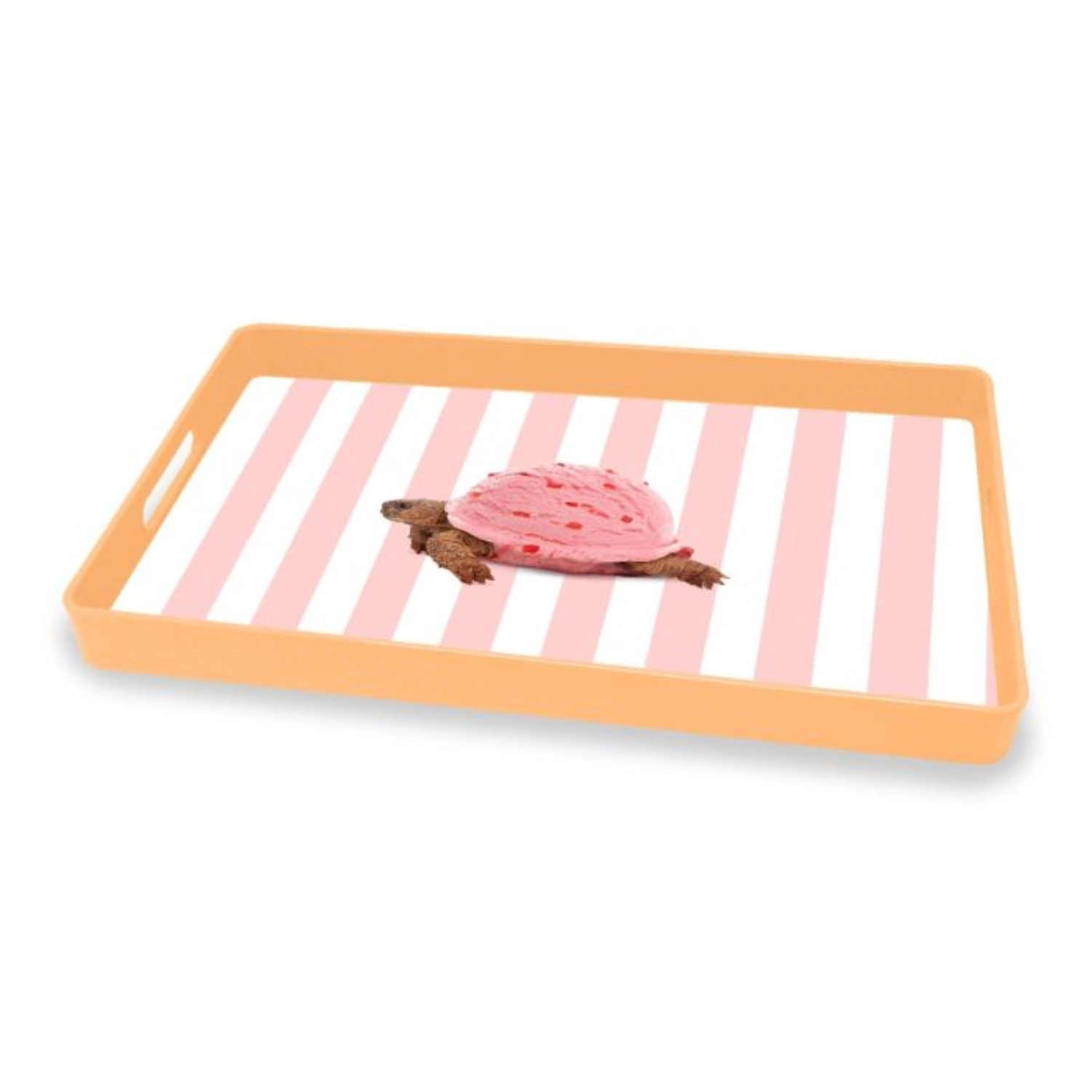 Tablett Schildkröte