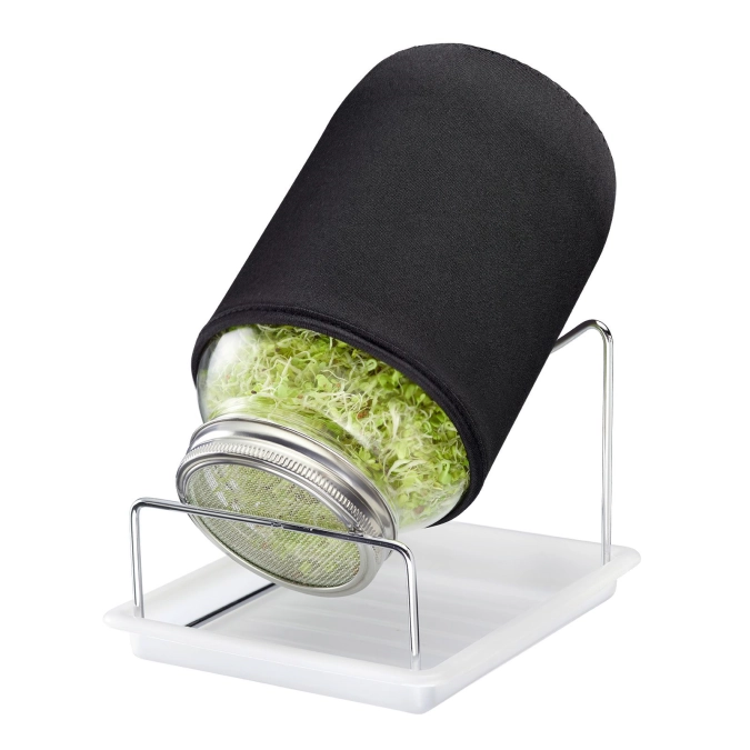 Sprossenglas-Set, 1 Glas