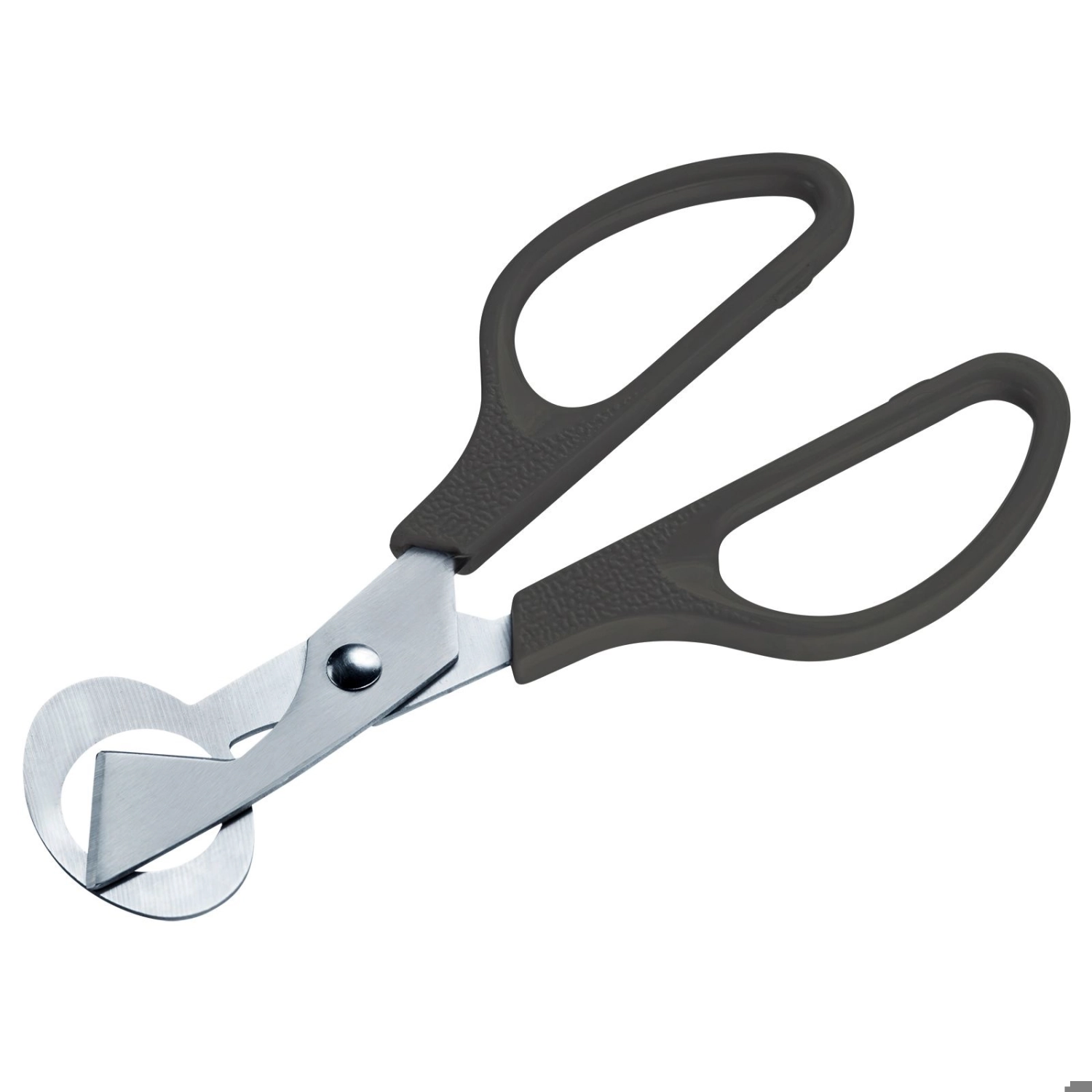 Ciseaux pour œufs de caille