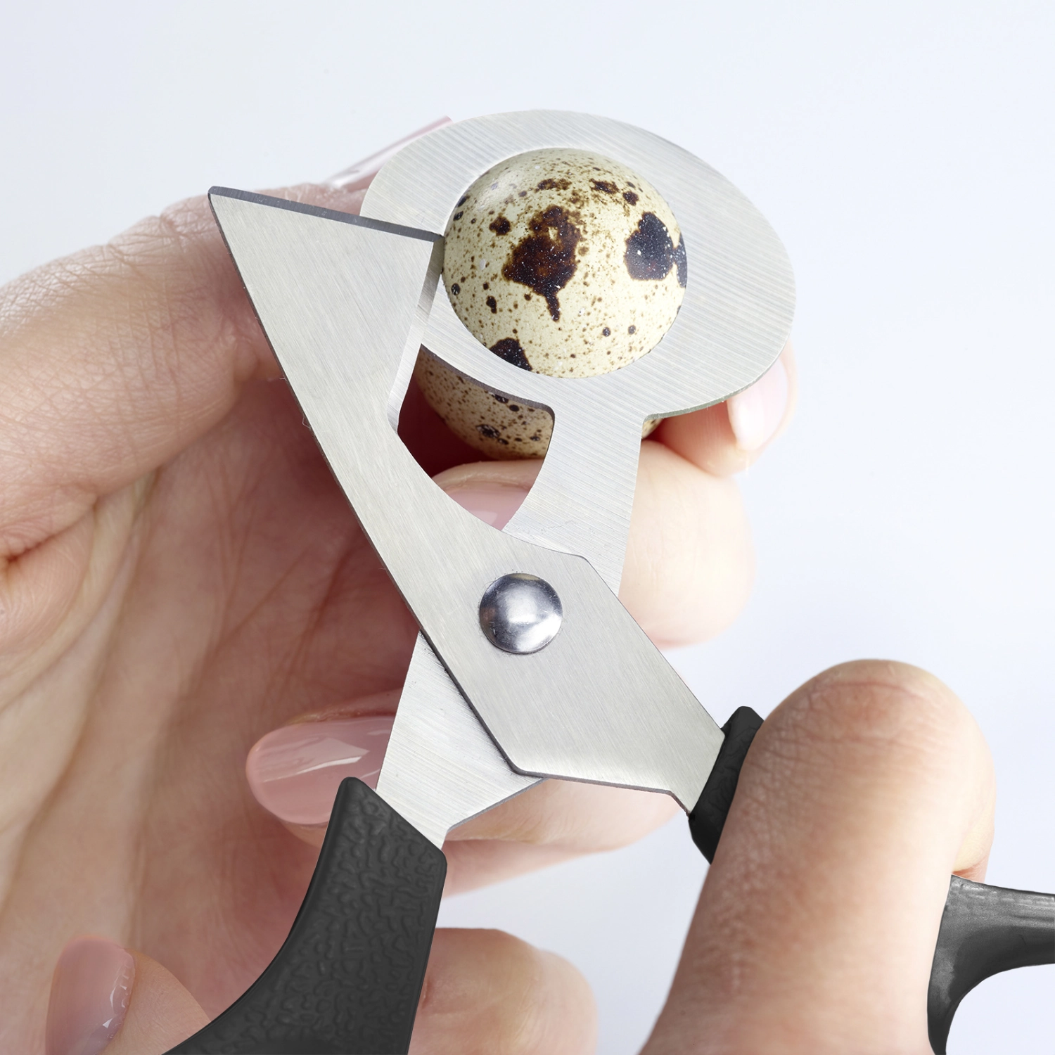 Ciseaux pour œufs de caille