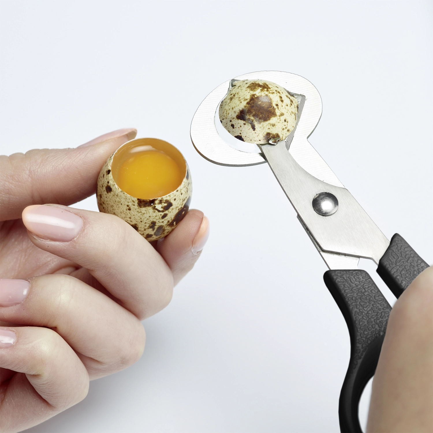 Ciseaux pour œufs de caille