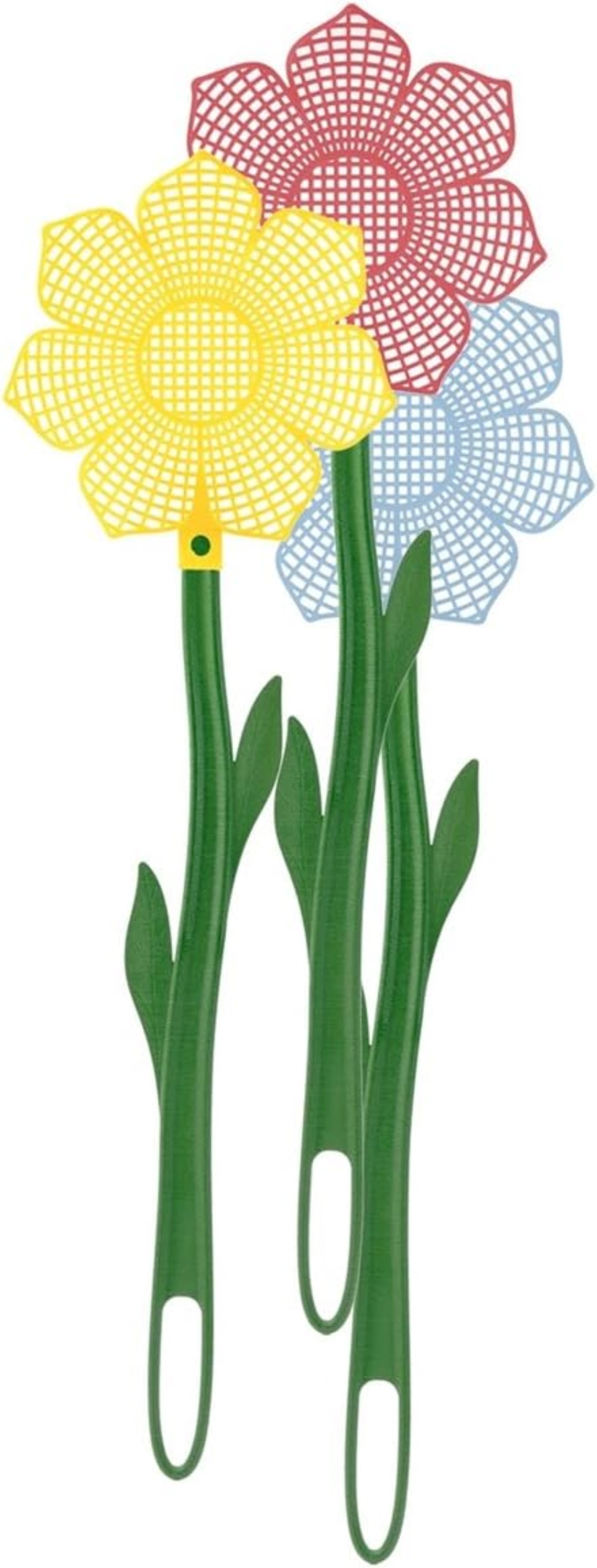 Fliegenklatsche Blume