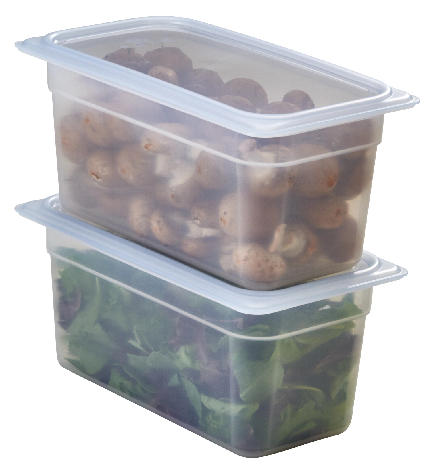 Bacs GN 1/4-100mm PP