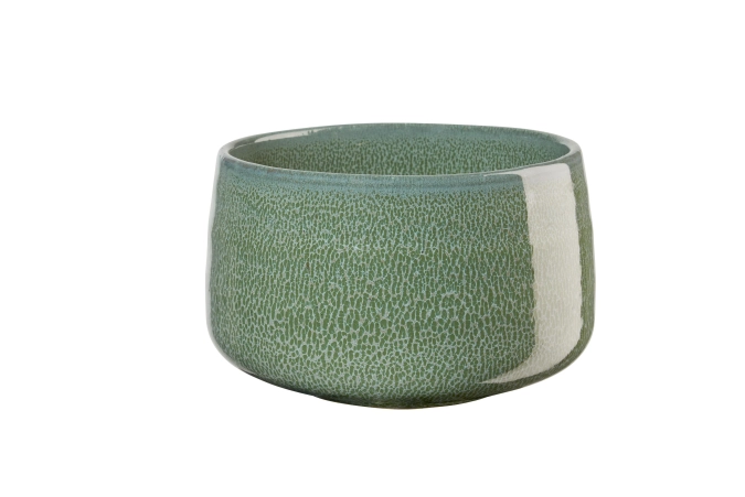 Moribana Bol matsu shiny