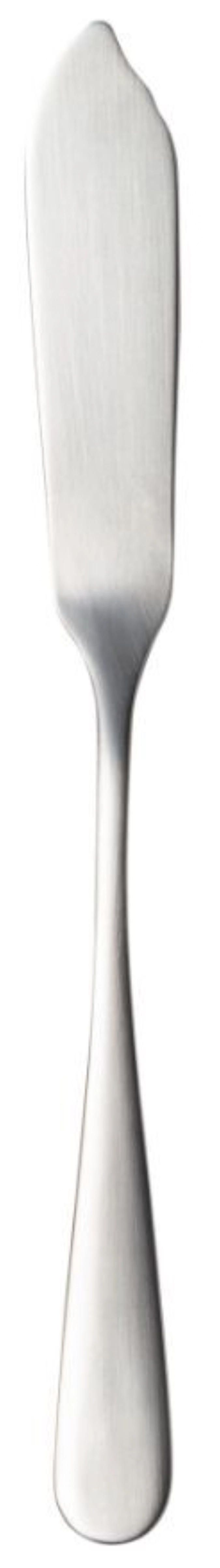 Pacifica Fischmesser