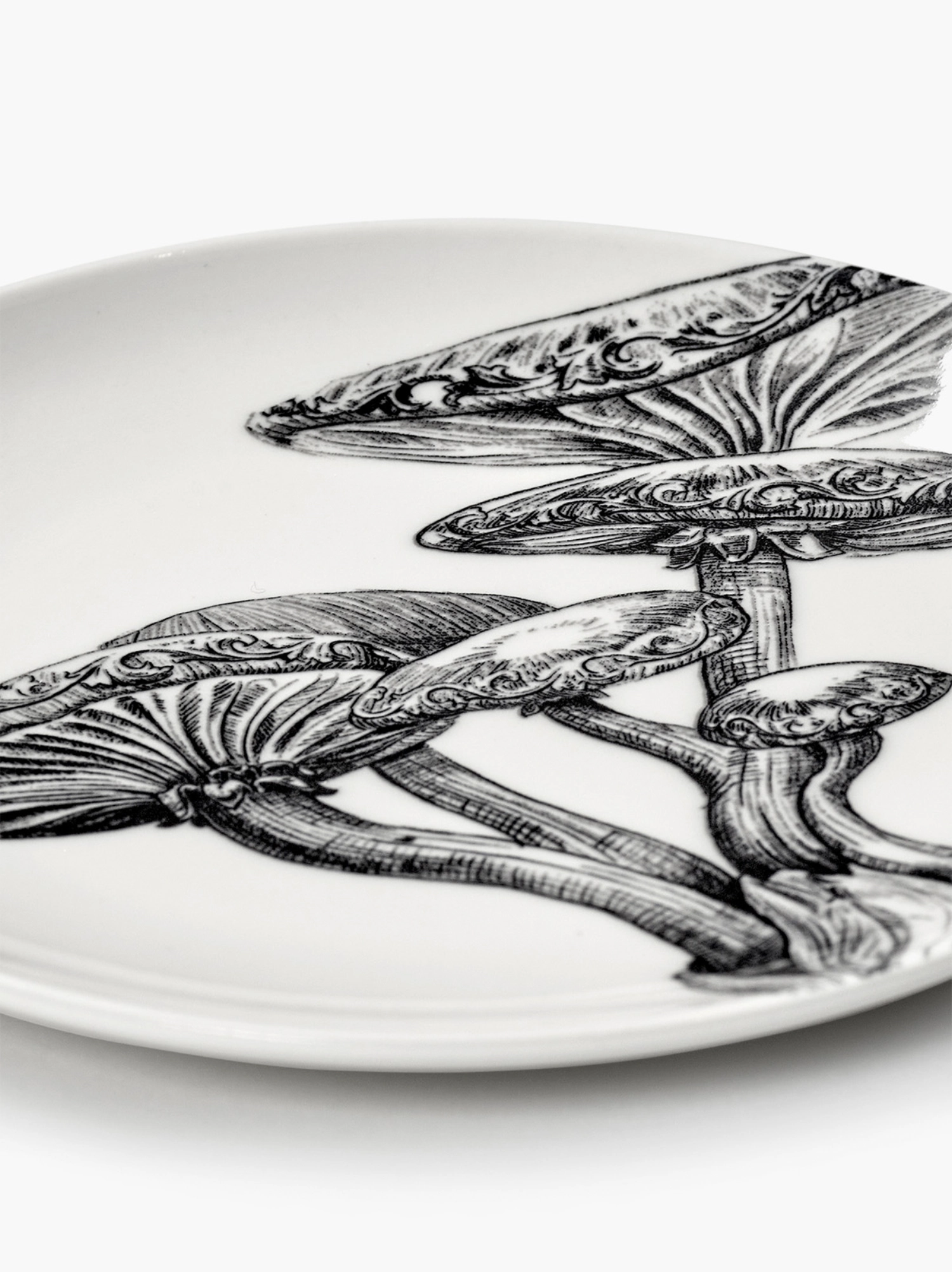 Unity Teller Mushrooms