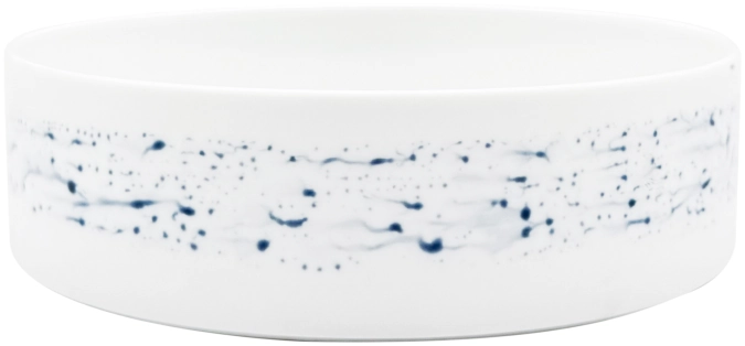 Blue Impression Schale