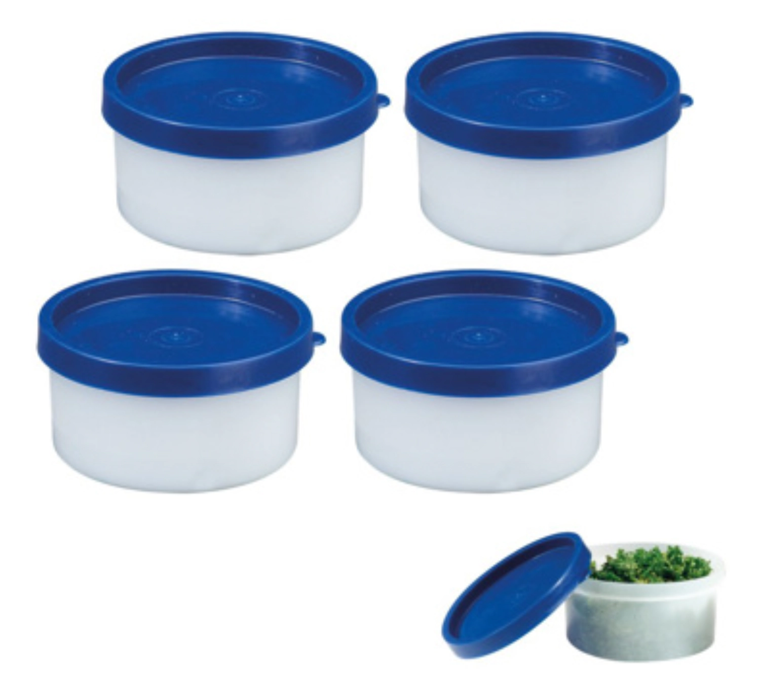 4 pcs boîtes à herbes