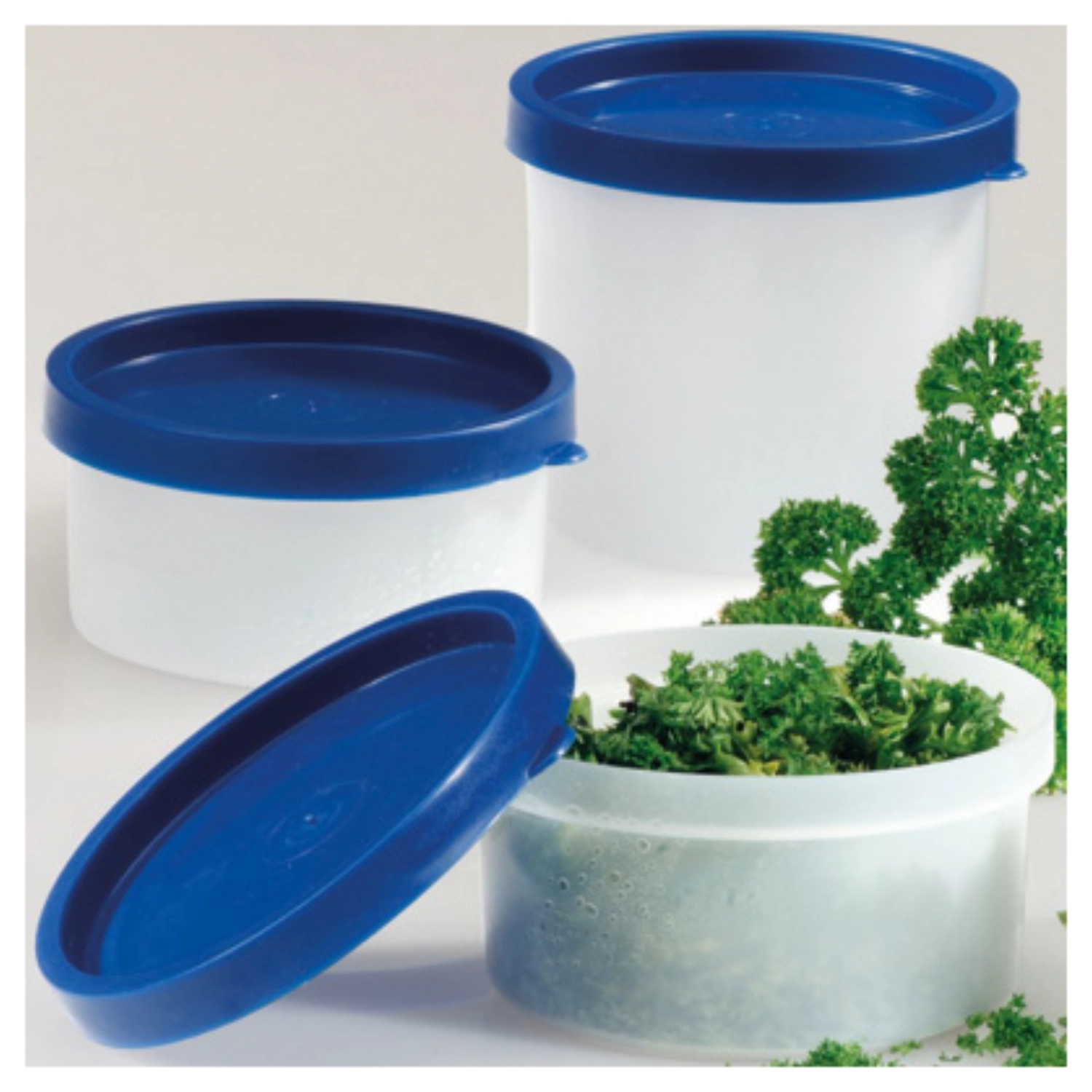 4 pcs boîtes à herbes