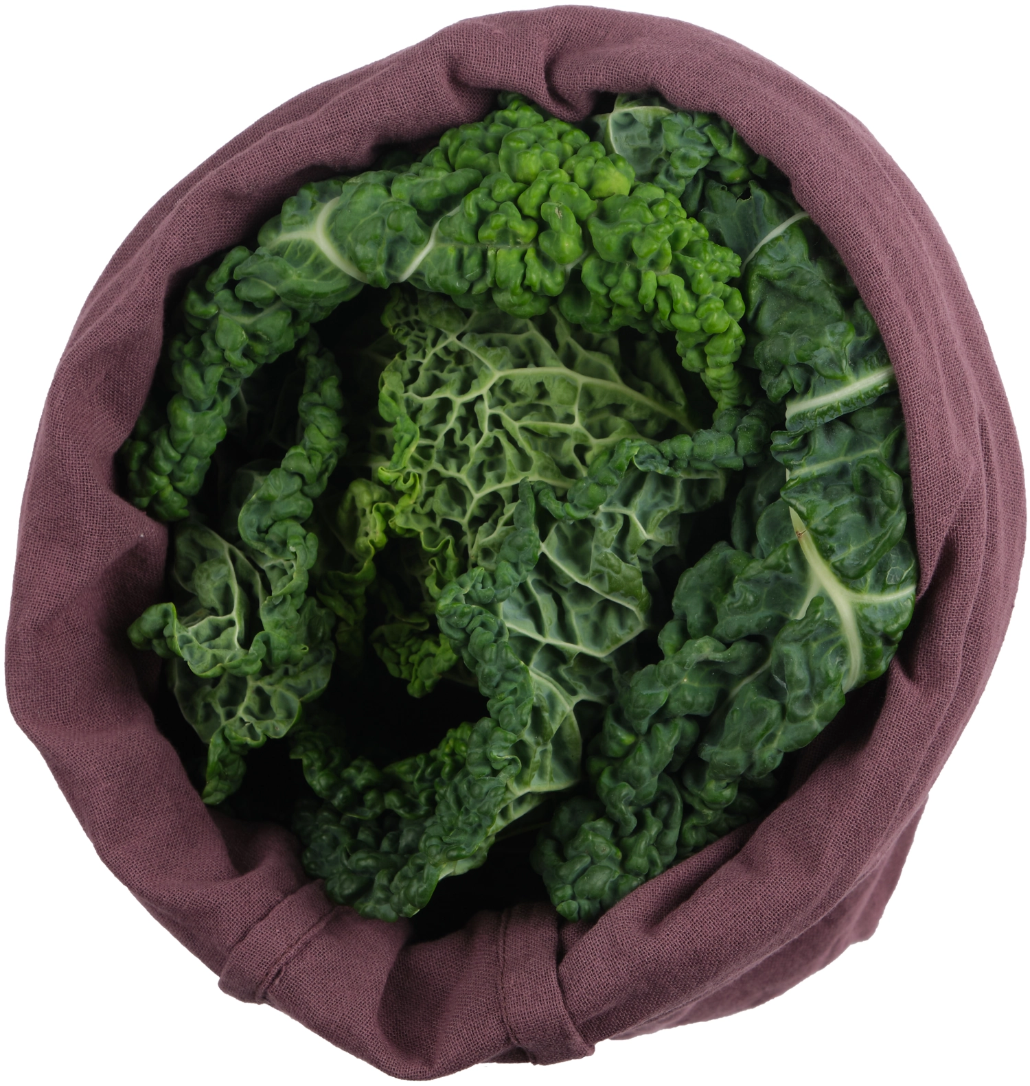 Food bag large Beutel