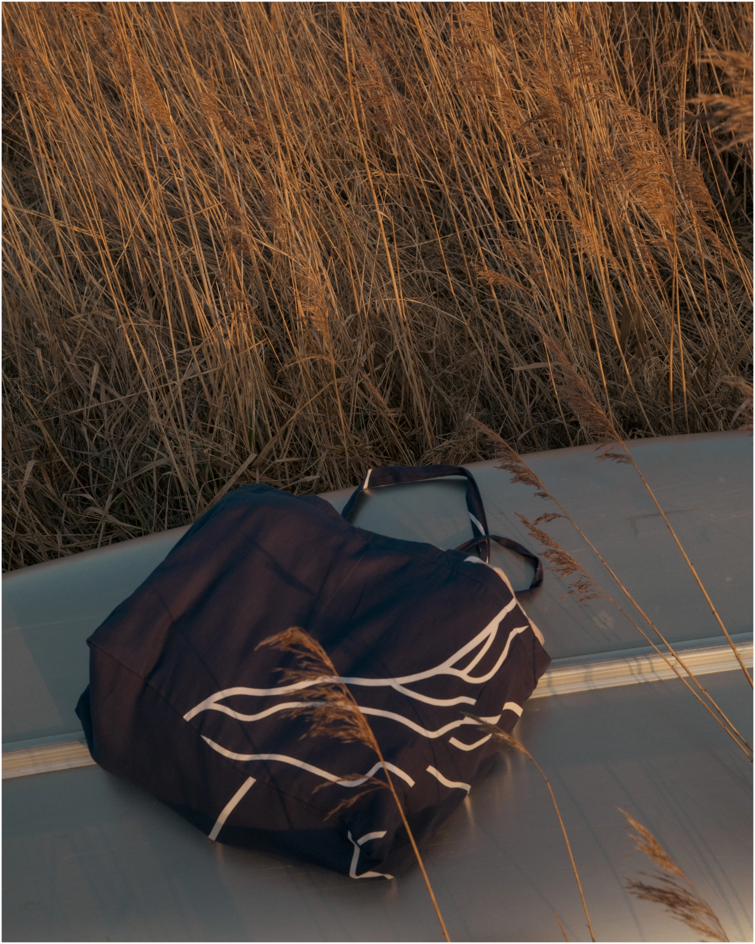Reconnect sac