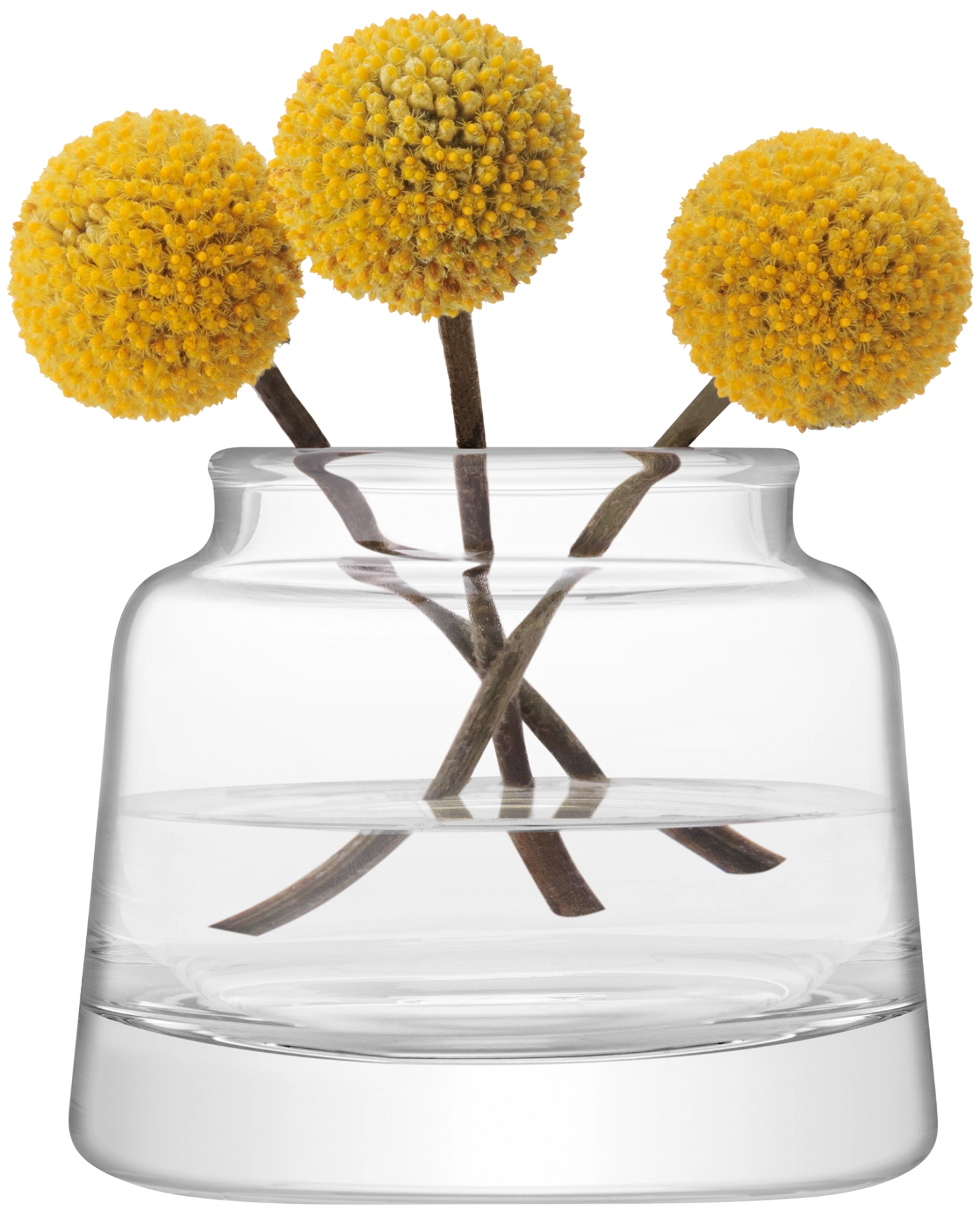 Collective vase / lanterne