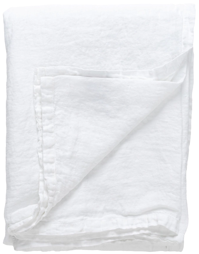 Maria Nappe