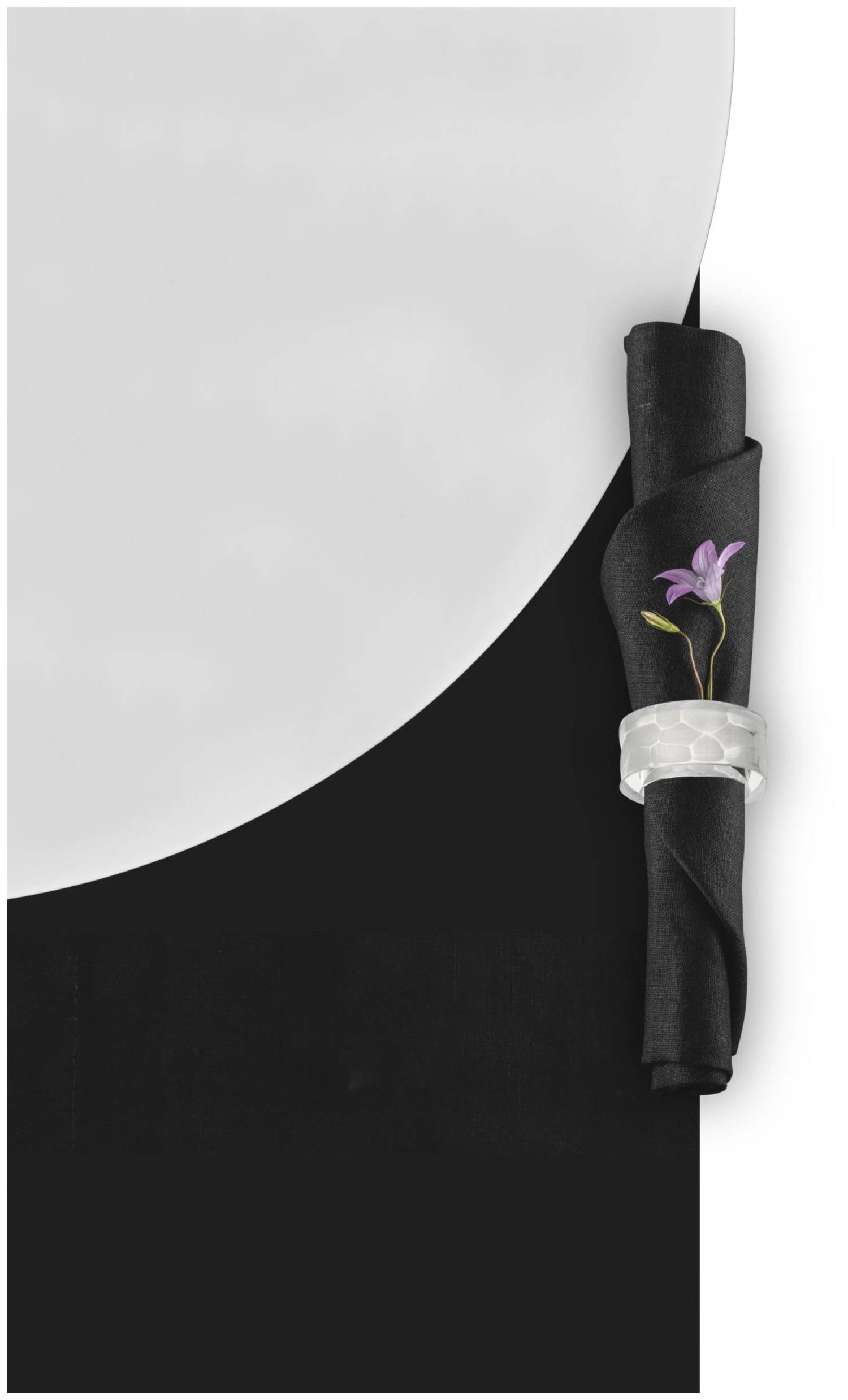 Lot de 2 ronds de serviette Hamilton