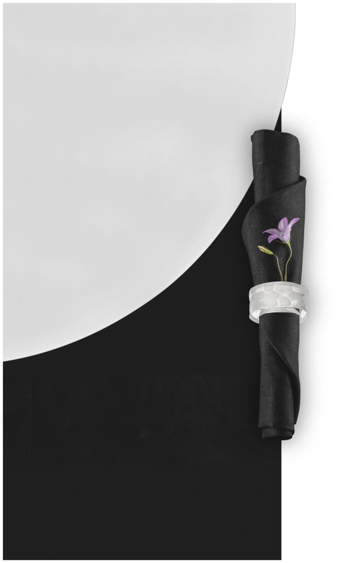 Lot de 2 ronds de serviette Hamilton