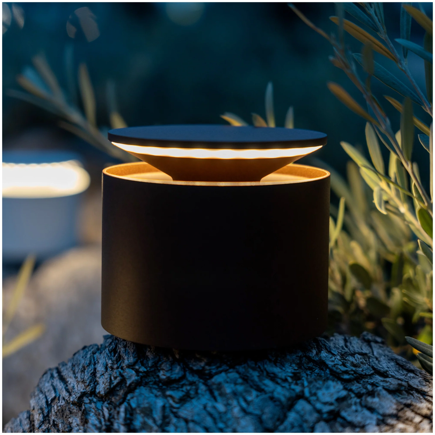 Push-Up Tischlampe