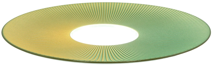 Bolero Iridescent grün Mise en bouche