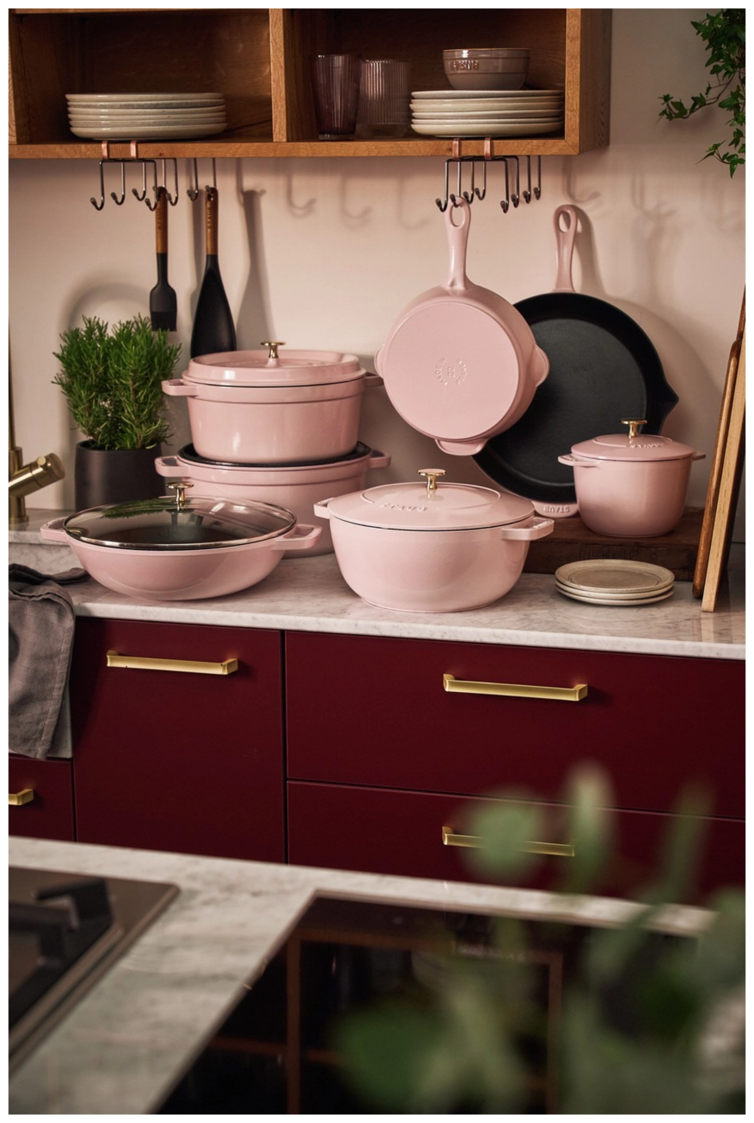 Cocotte